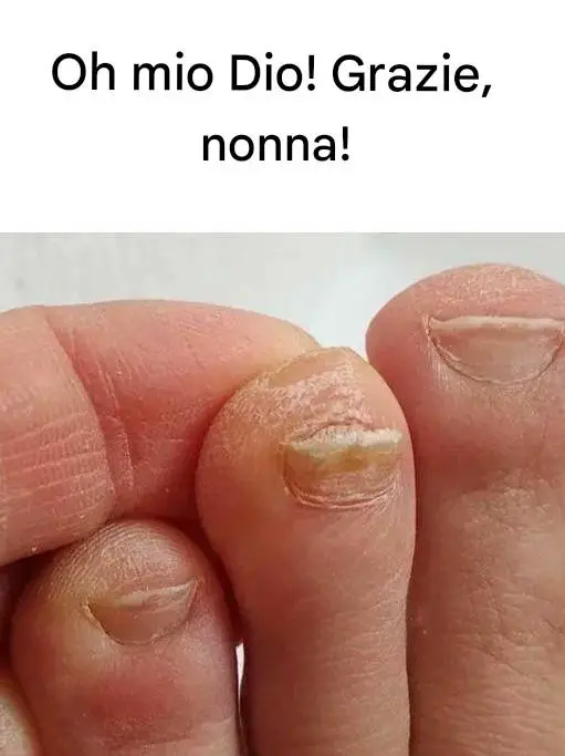 nonna cucina segreti