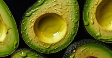 avocado ogni giorno
