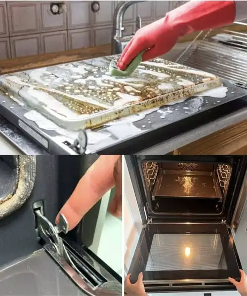vetro porta forno rimuovere