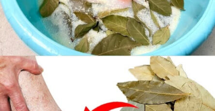 disintossicare lenire ringiovanire