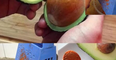 avocado seed benefits