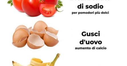 giardinaggio giardino sano rigoglioso
