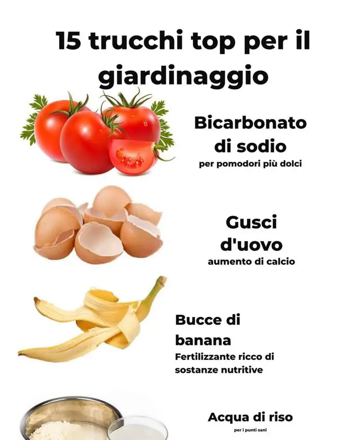 giardinaggio giardino sano rigoglioso
