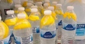 zenzero acqua salutare benefica