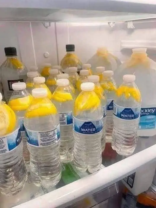 zenzero acqua salutare benefica