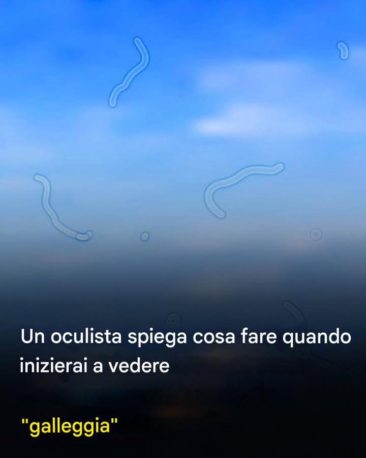 corpi mobili cosa fare