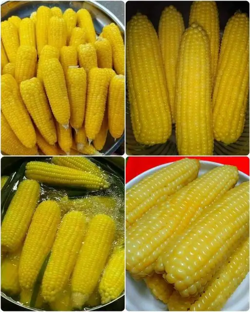 Mais Cucinato Perfettamente