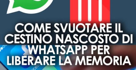 Perché WhatsApp occupa così tanta memoria sul telefono e come liberarla