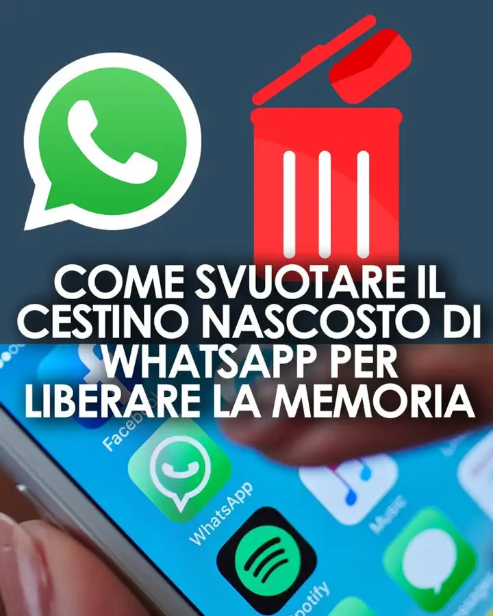 Perché WhatsApp occupa così tanta memoria sul telefono e come liberarla