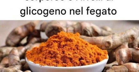 Spezia Magica