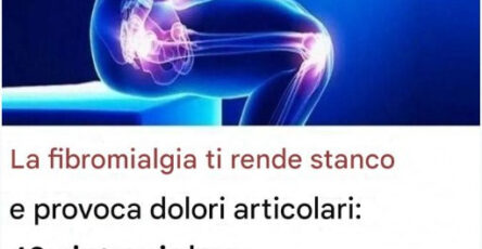 Caratteristici