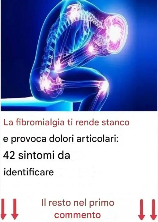 Caratteristici