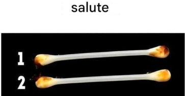 Orecchie Sane