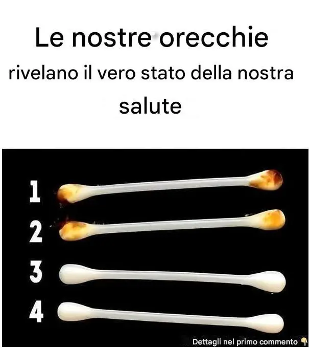Orecchie Sane