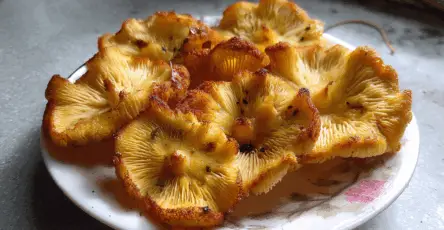 Cotolette di funghi pleurotus