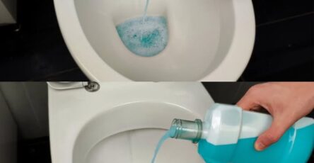 Trucchi Geniali Per Pulire Il Water E Rimuovere Calcare E Batteri