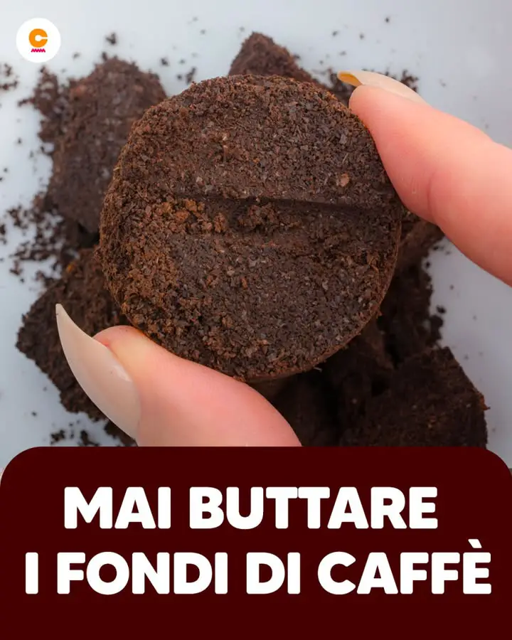 Non Buttare Via I Fondi Di Caffè