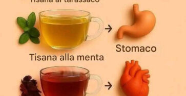 Tisane Curative