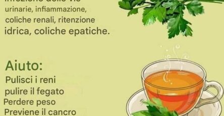 Prezzemolo