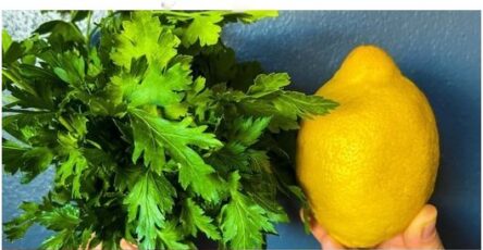 Prezzemolo e Limone