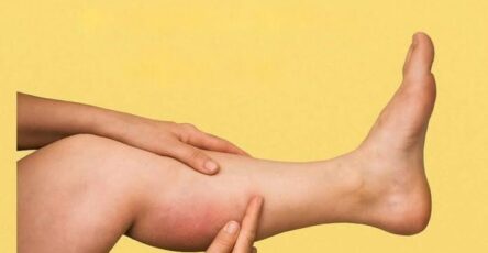 6 Migliori Disegni Per Mantenere Le Arterie Sane