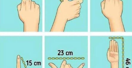 Come misurare oggetti senza un metro 4 semplici metodi