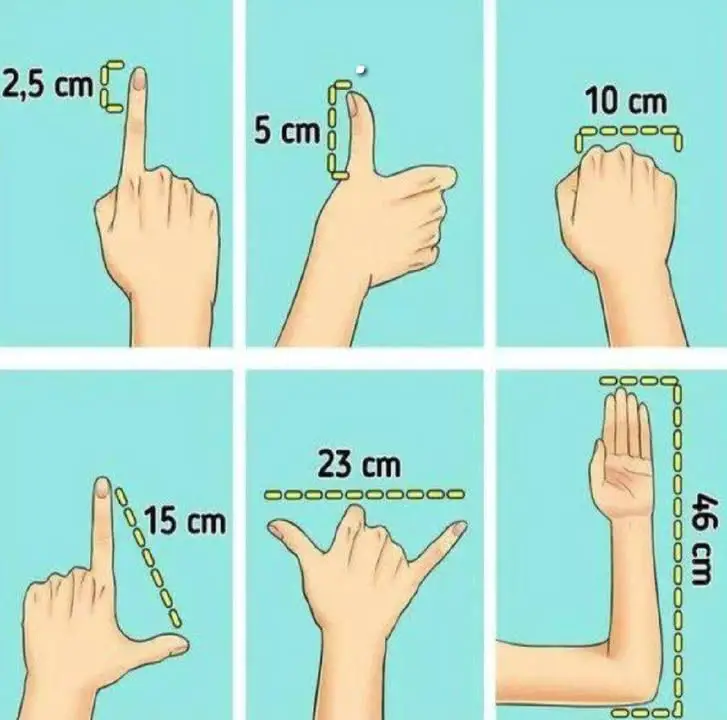 Come misurare oggetti senza un metro 4 semplici metodi
