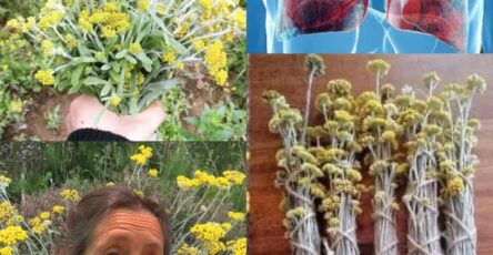 Questo Fiore Delle Highlands Può Aiutarti A Smettere Di Fumare In Modo Naturale