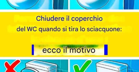 Coperchio del water