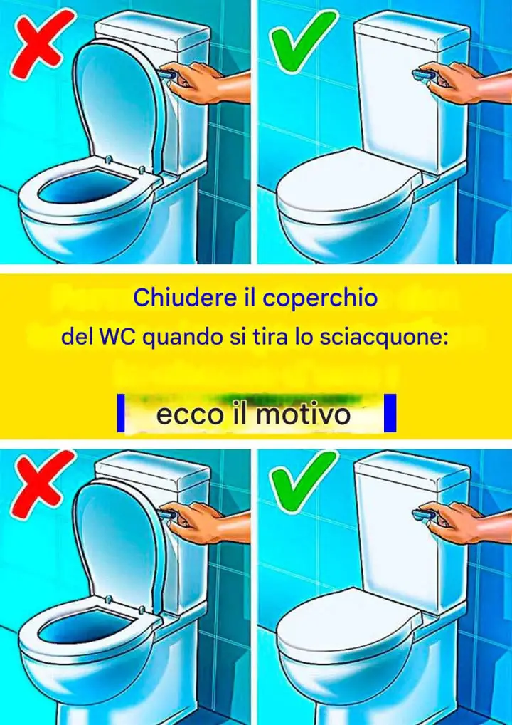 Coperchio del water