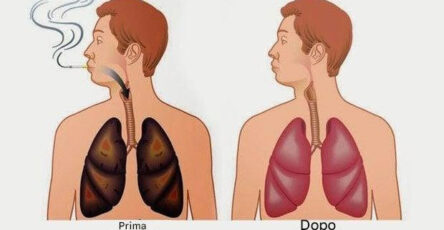 Purificare E Rivitalizzare I Polmoni