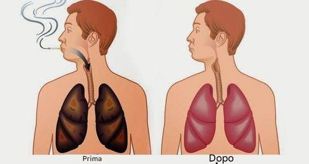 Purificare E Rivitalizzare I Polmoni