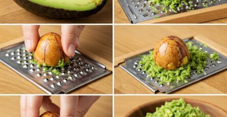 Seme di avocado