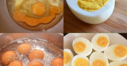 Scopri la magia di cucinare le uova