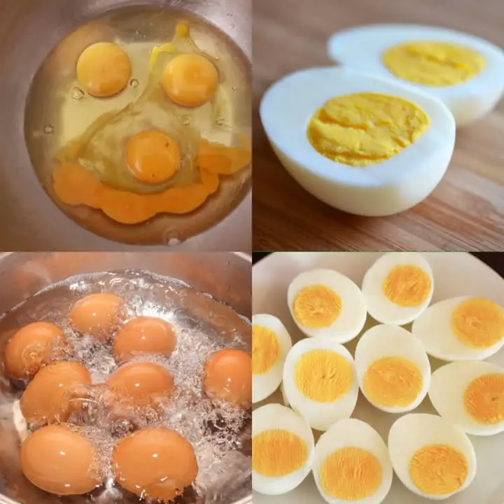 Scopri la magia di cucinare le uova