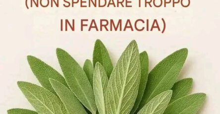 Tutto quello che puoi fare