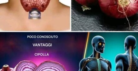 Benefici per la salute delle cipolle