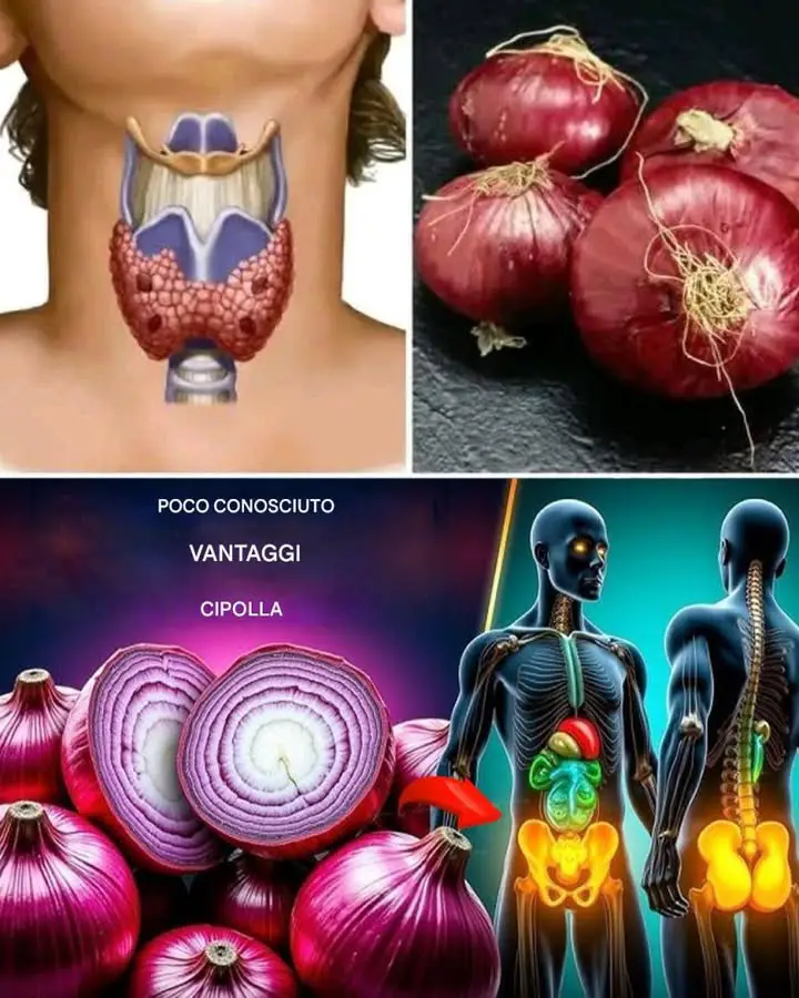 Benefici per la salute delle cipolle