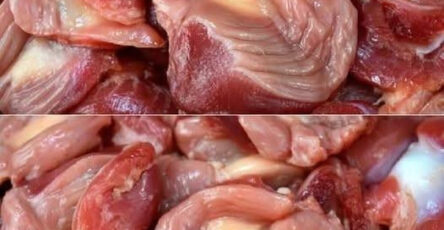 Ventrigli di Pollo