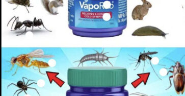 7 Benefici di Vicks Vaporub