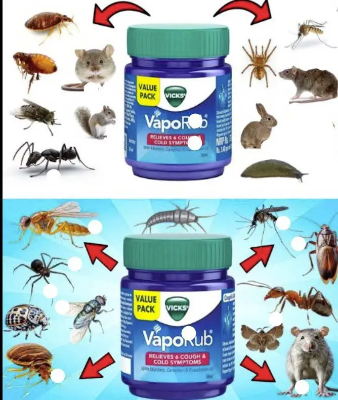 7 Benefici di Vicks Vaporub