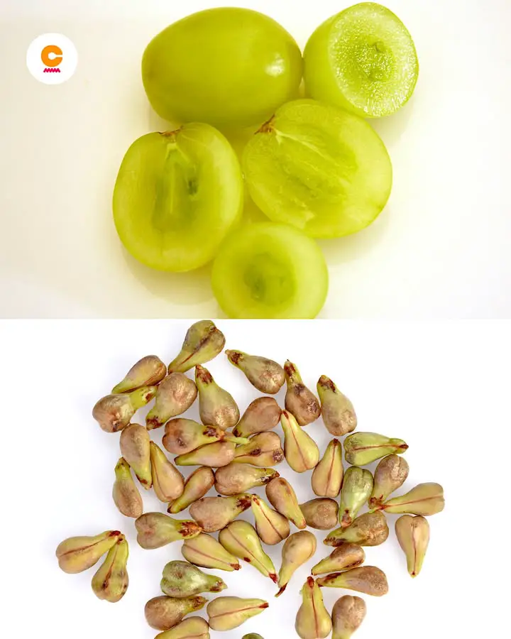 Semi di uva