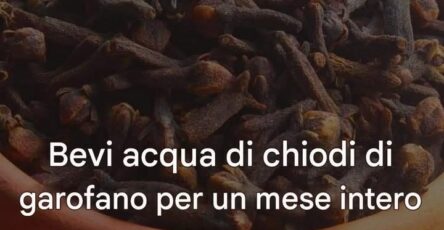 Chiodi di Garofano
