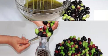 Olio D'oliva Fai Da Te