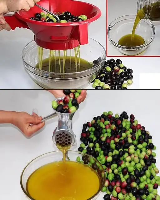 Olio D'oliva Fai Da Te