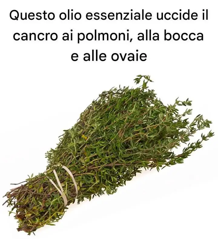 Olio essenziale per cancro ai polmoni alla bocca e alle ovaie