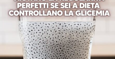 Semi di basilico