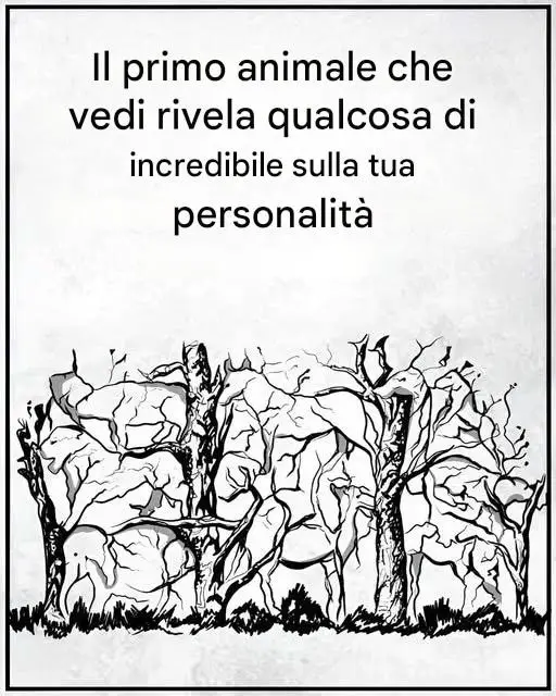 Primo Animale Vedi Rivela Personalità