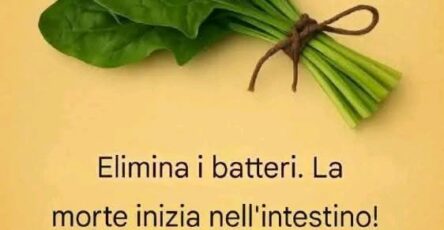 Alimenti che aiutano a depurare il corpo