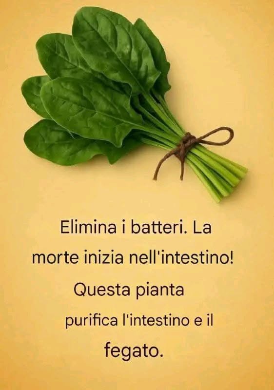 Alimenti che aiutano a depurare il corpo
